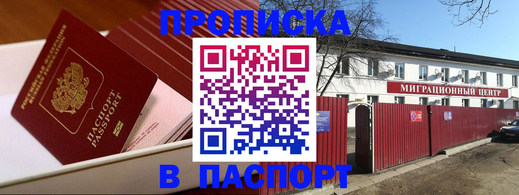 прописка 2025 в Купино